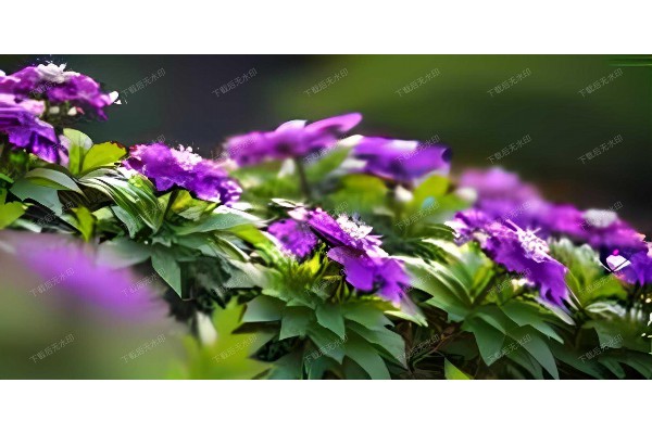 湖北武汉桑拿中心，一键预约享受舒适